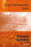 Couveture pour Fausses lumières Couveture pour Fausses lumières